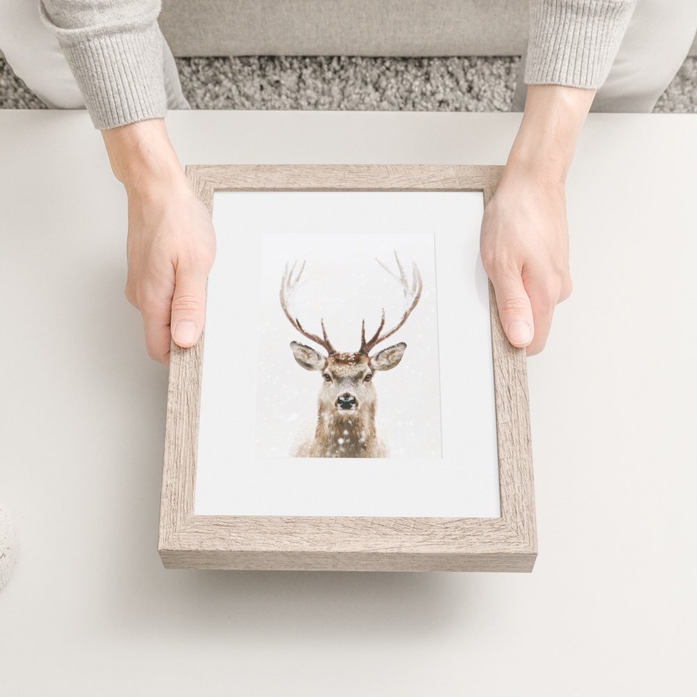 Deer Wall Art Print Poster Unframed - Watercolor Animal Print - Picture 6 of 8